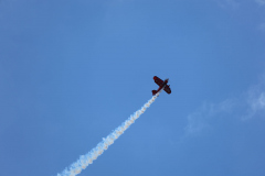 IB0A3719