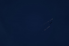 IB0A4042