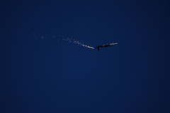 IB0A4074