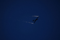 IB0A4075