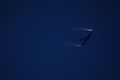 IB0A4077