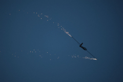 IB0A4143