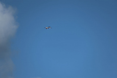 IB0A4265