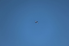 IB0A4266