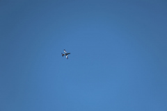 IB0A4267