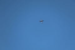 IB0A4268