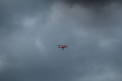 IB0A4282