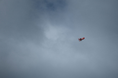 IB0A4286