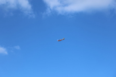 IB0A4357