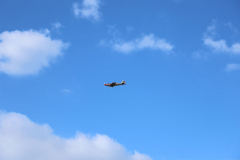 IB0A4358