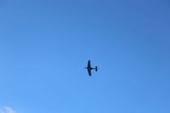 IB0A4360