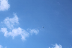 IB0A4366