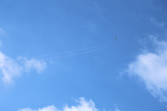 IB0A4368