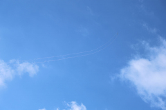 IB0A4369