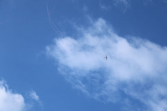 IB0A4374