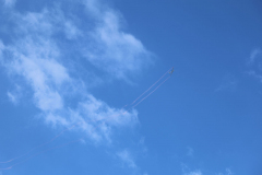 IB0A4386