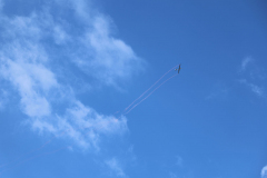 IB0A4387