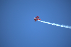 IB0A7218