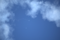 IB0A7281