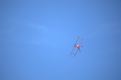 IB0A7294