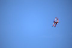 IB0A7295