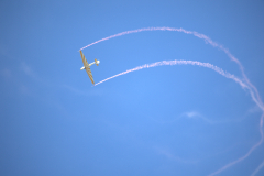 IB0A7389