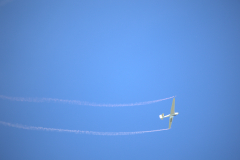 IB0A7395