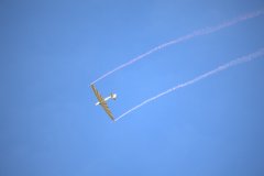 IB0A7411