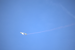 IB0A7419