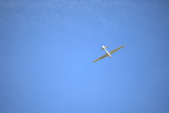 IB0A7435