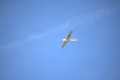 IB0A7438