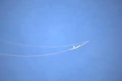 IB0A7595