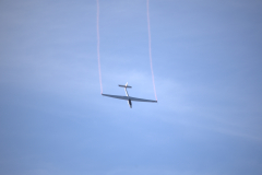 IB0A7619