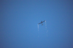 IB0A8071