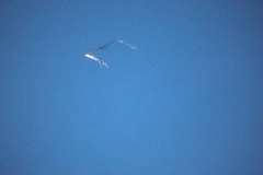 IB0A8086