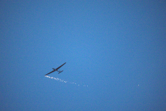 IB0A8091