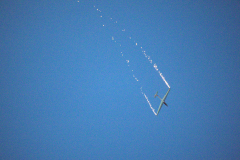 IB0A8095