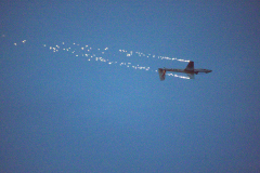IB0A8177