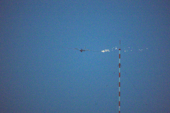 IB0A8223