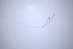 IB0A8477