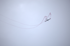 IB0A8479