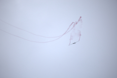 IB0A8483