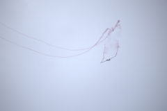IB0A8484