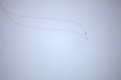 IB0A8489