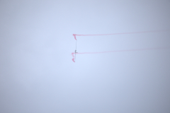 IB0A8495