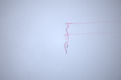 IB0A8498