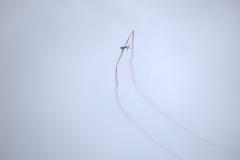 IB0A8675