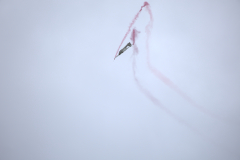 IB0A8681