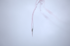 IB0A8686