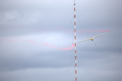 IB0A8693